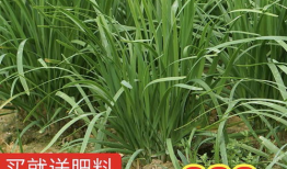 地产吃瓜爆料,揭秘吃瓜爆料背后的真相与内幕